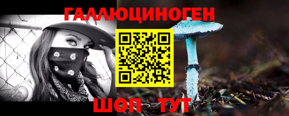 Галлюциногенные грибы прущие грибы Ессентуки